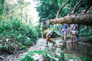 BIB: 
                            <button type="button" onclick="openModal(25444410)" class="btn btn-primary btn-sm float-right btn-popup" data-toggle="modal" data-target=".modal-high-quality">
                        <i class="fas fa-shopping-cart"></i> Add to Cart
                    </button>
                                            <button type="button" onclick="isThisMe(25444410, true)" class="btn btn-success btn-sm float-right btn-popup btn-isme hidden" data-toggle="tooltip" data-placement="bottom" title="นี่คือรูปของคุณใช่ไหม คลิกที่นี่เพื่อเอาเข้าอัลบั้ม">
                        <i class="fas fa-plus"></i> Add to album
                    </button>
                    <button type="button" onclick="isThisMe(25444410, false)" class="btn btn-warning btn-sm float-right btn-popup btn-isnotme hidden">
                        <i class="fas fa-ban"></i> Remove from album
                    </button>